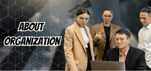 About Organization