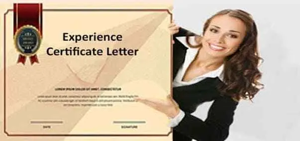 Experience Certificate
