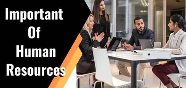 Importance of Human Resource