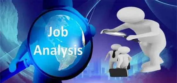Job Analysis