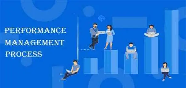 Performance Management Process