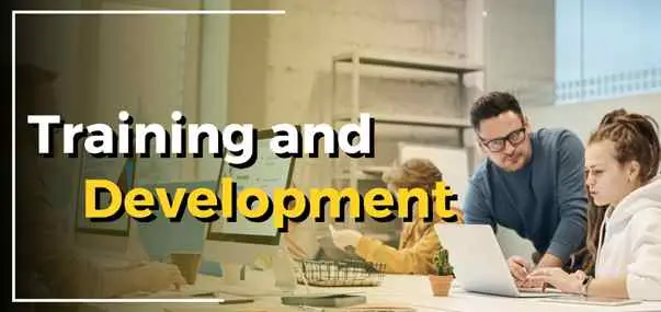 Training and Development Plan