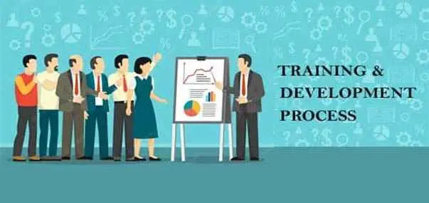 Training And Development Process